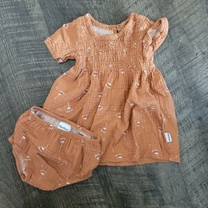 NWOT Gerber Dress and Bloomers Set